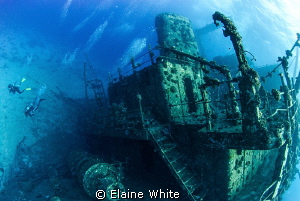 Wreck of the Gianas D by Elaine White 
